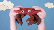 hands holding crab_1_00046